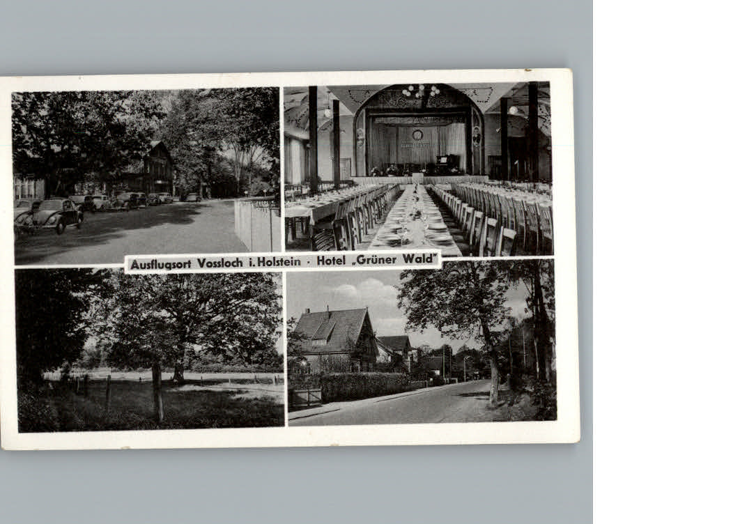 Vossloch Hotel Gruener Wald