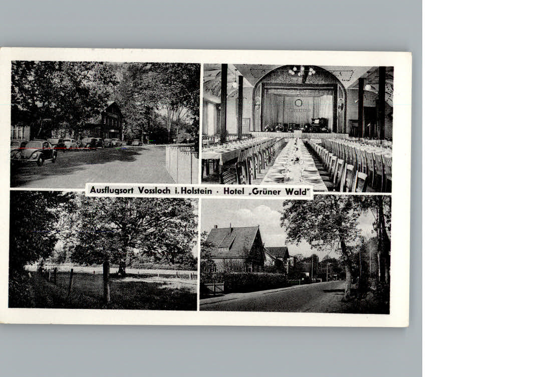 Vossloch Hotel Gruener Wald