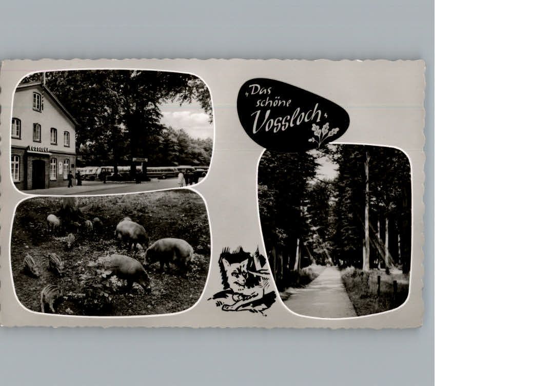 Vossloch Hotel Gruener Wald