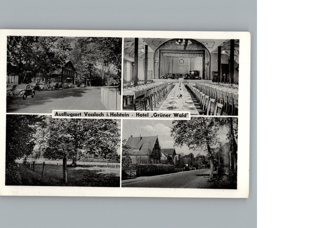 Vossloch Hotel Gruener Wald