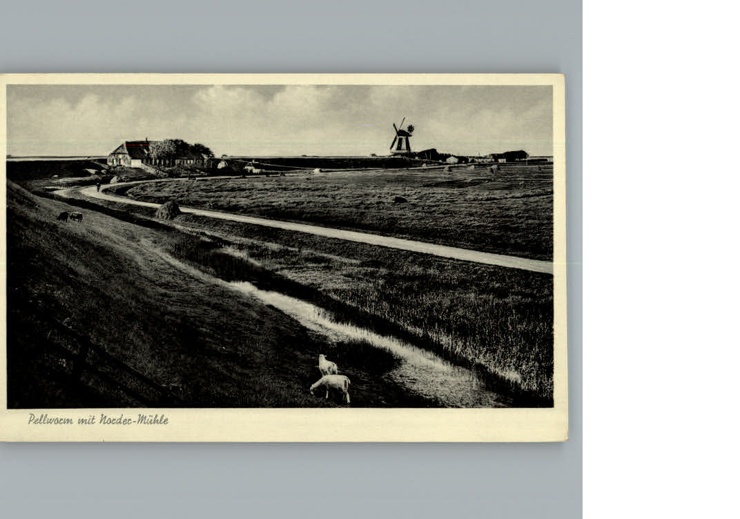 Pellworm Windmuehle