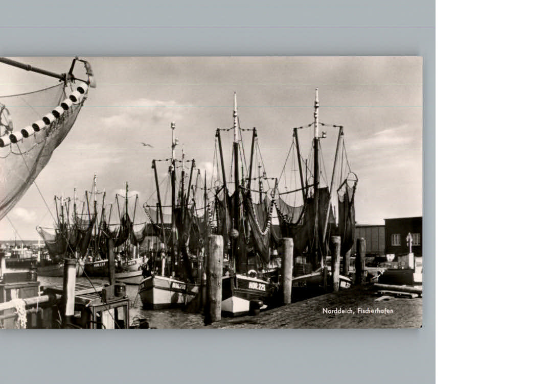 Norddeich Ostfriesland