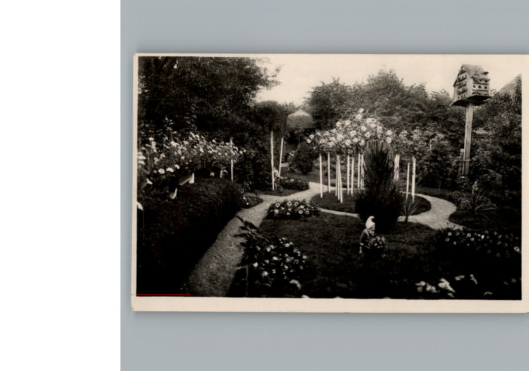 Fehmarn Cafe Rosengarten