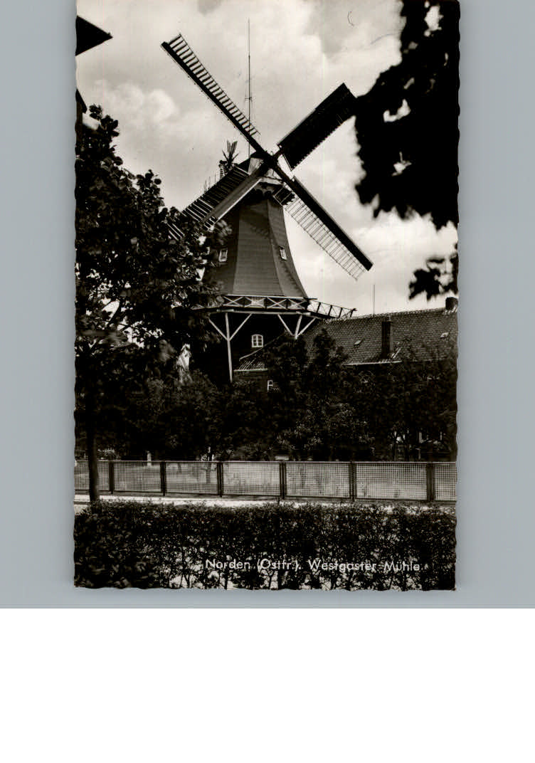 Norden Ostfriesland Windmuehle