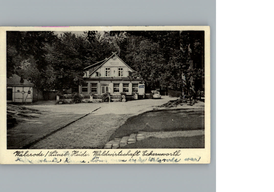 Walsrode Lueneburger Heide Waldwirtschaft Leckernworth