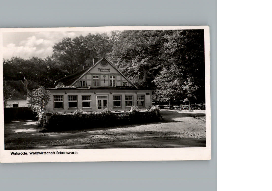 Walsrode Lueneburger Heide Waldwirtschaft Eckernworth