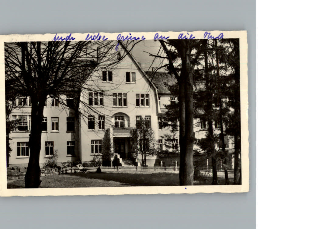 Walsrode Lueneburger Heide