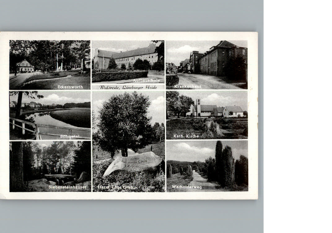 Walsrode Lueneburger Heide