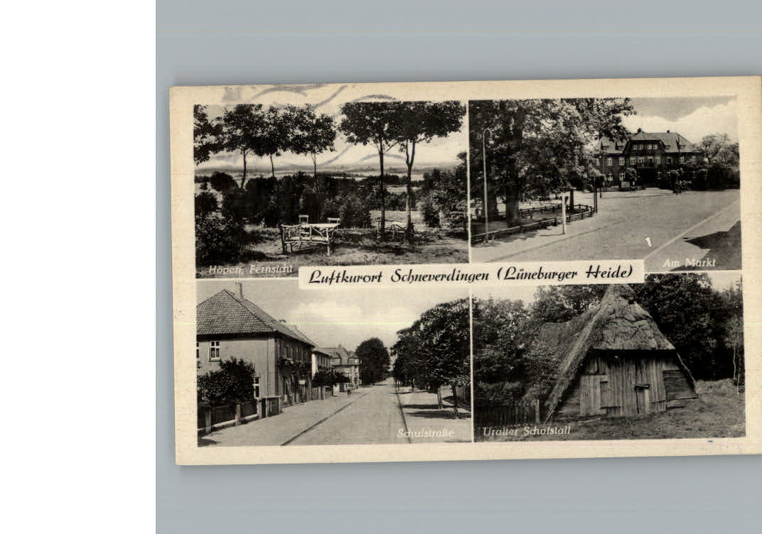 Schneverdingen Schulstrasse