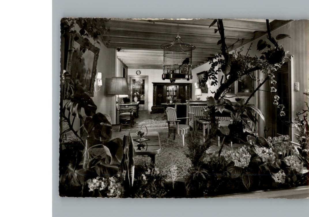 Bad  Pyrmont Haus Westfalen