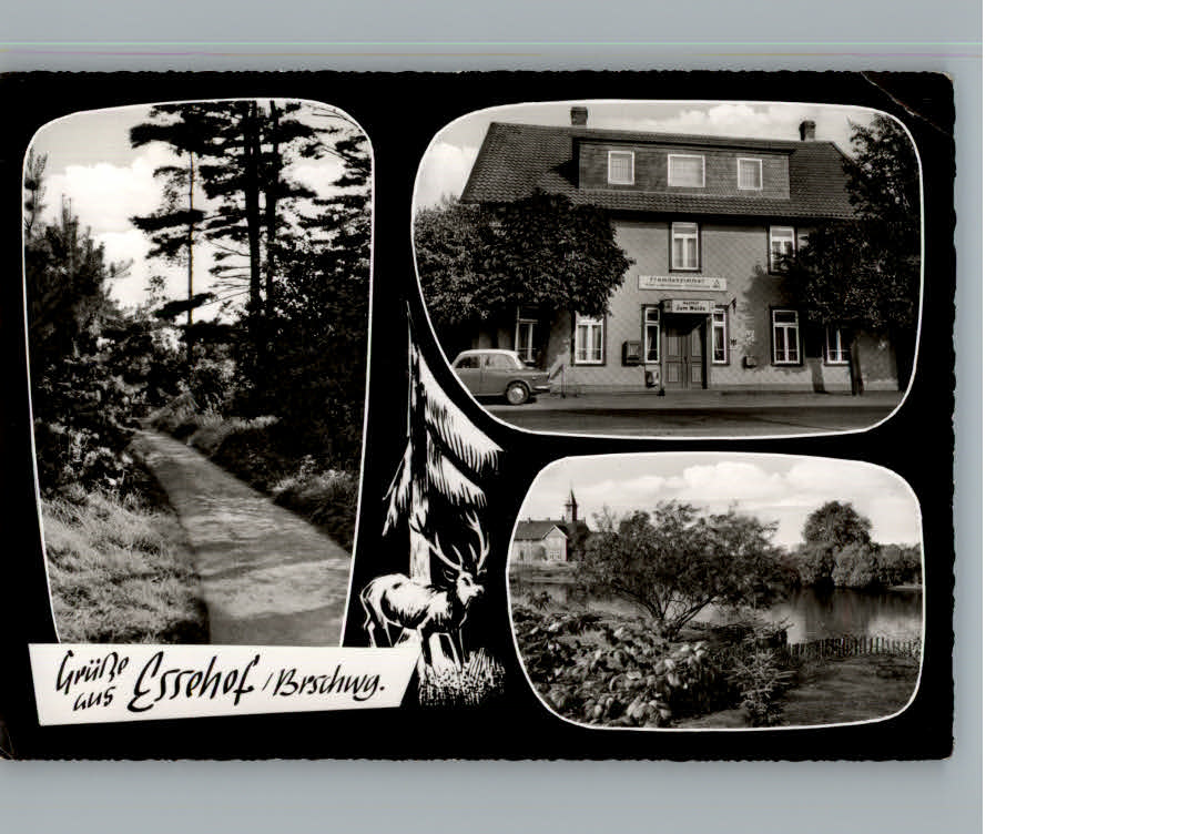 Essehof Gasthof Zum Walde