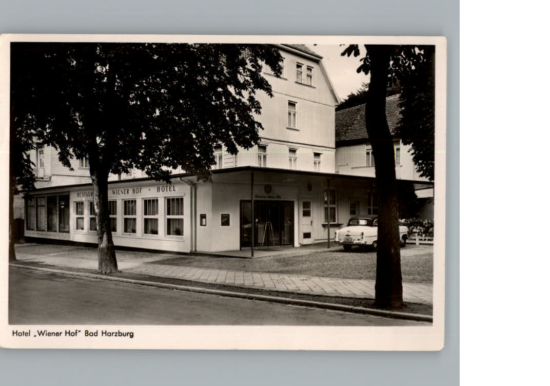 Bad Harzburg Hotel - Restaurant Wiener Hof