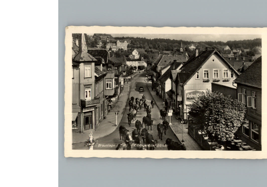 Braunlage Elbingeroederstrasse