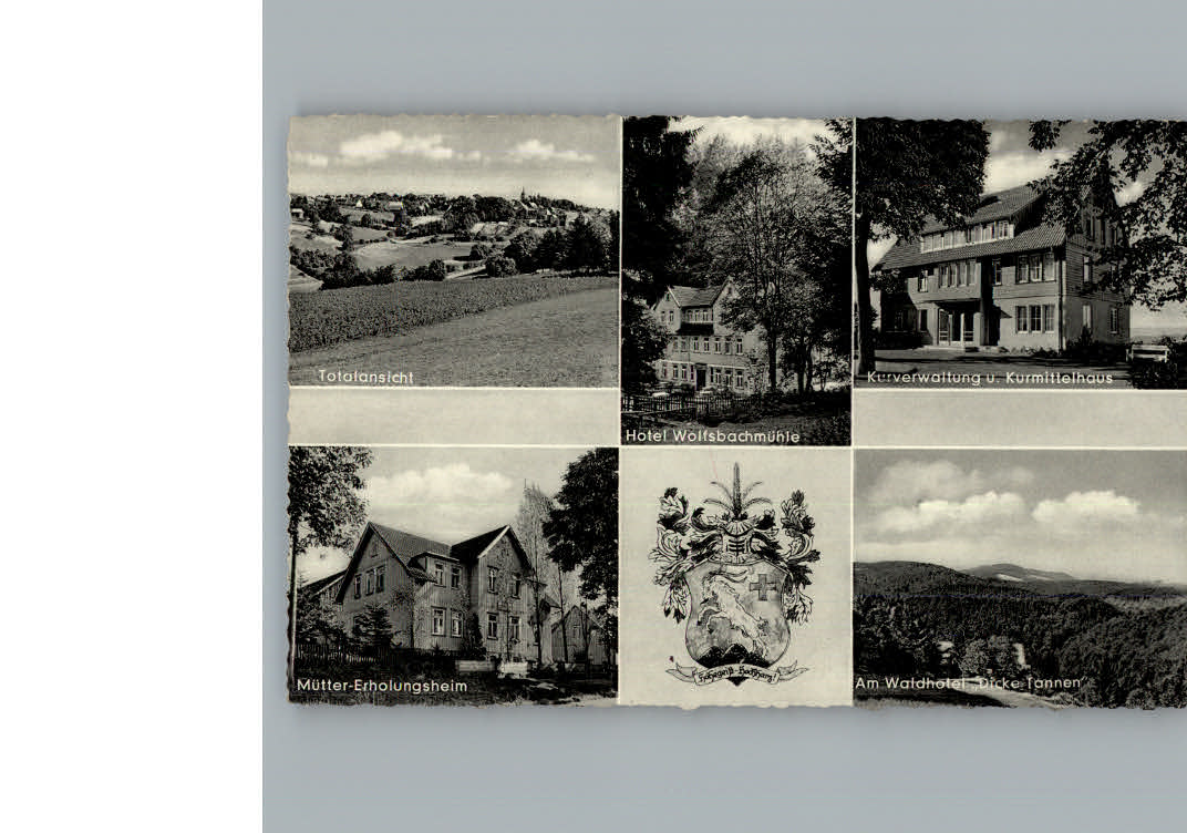 Hohegeiss Harz Hotel Wolfsbachmuehle