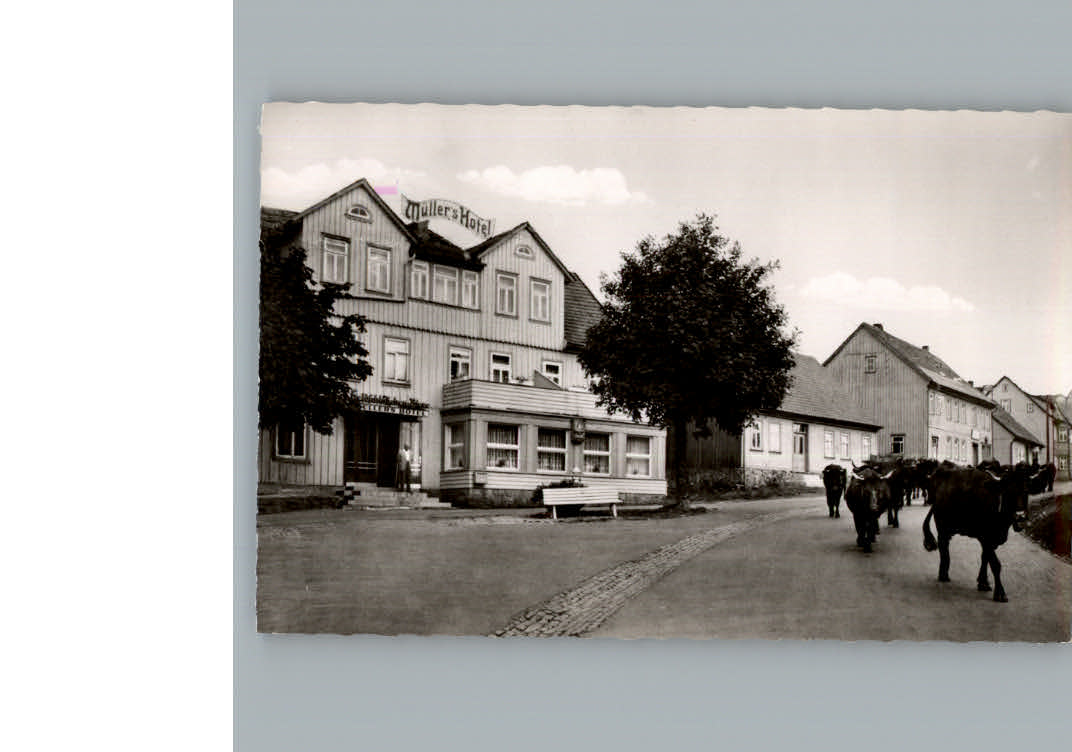 Hohegeiss Harz Muellera´s Hotel