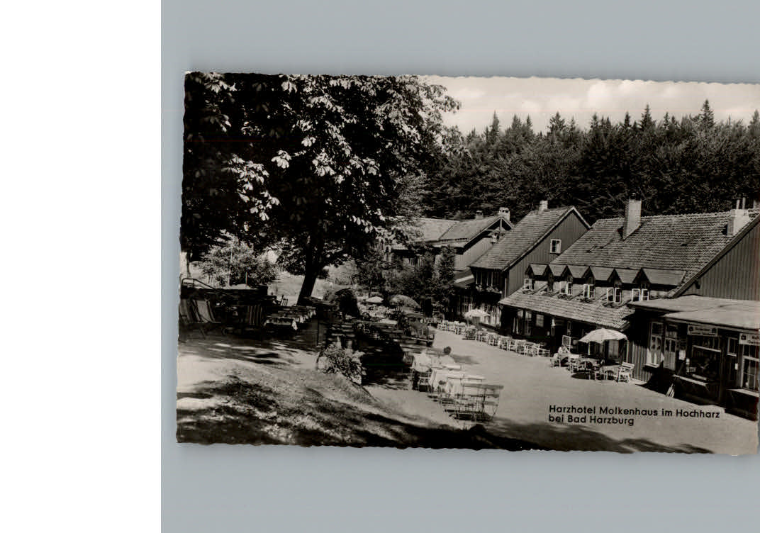 Bad Harzburg Hotel Molkenhaus