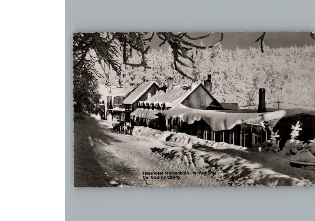 Bad Harzburg Hotel Molkenhaus