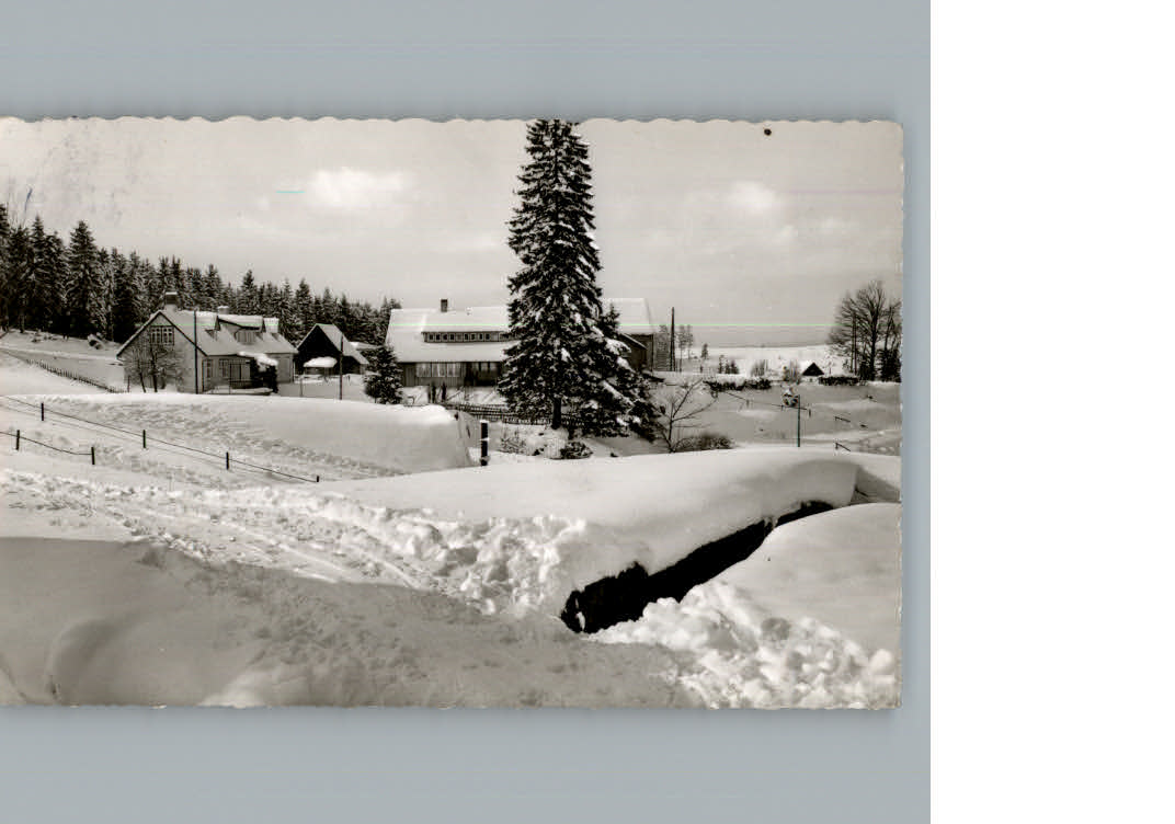 Hahnenklee-Bockswiese Harz Jugendherberge