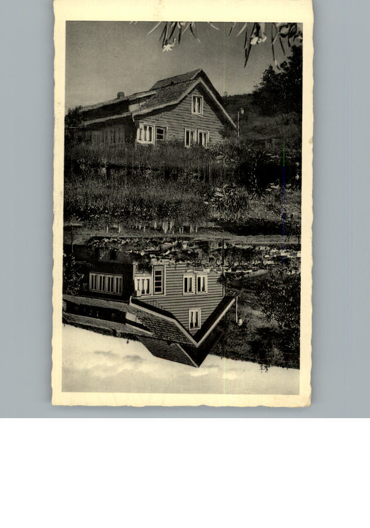 Braunlage Cafe Forellenteich