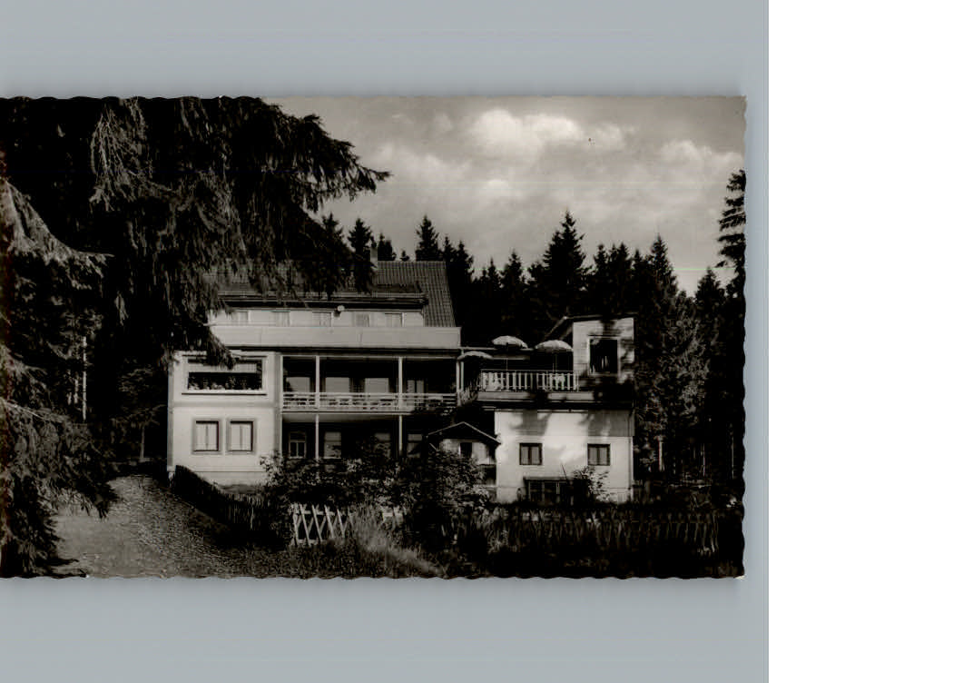 Braunlage Gaststaette - Cafe Rodelhaus