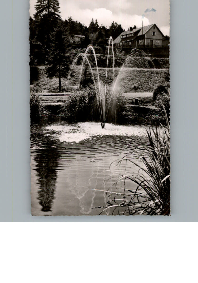 Hahnenklee-Bockswiese Harz