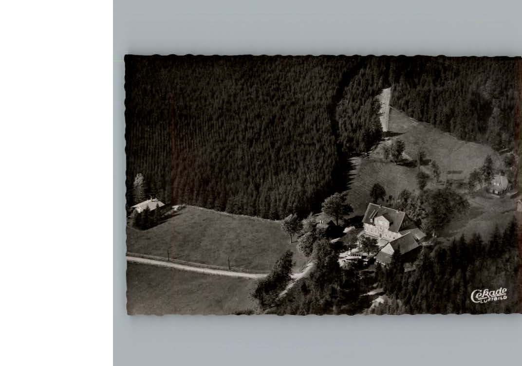 Hahnenklee-Bockswiese Harz Gasthaus Zum Auerhahn