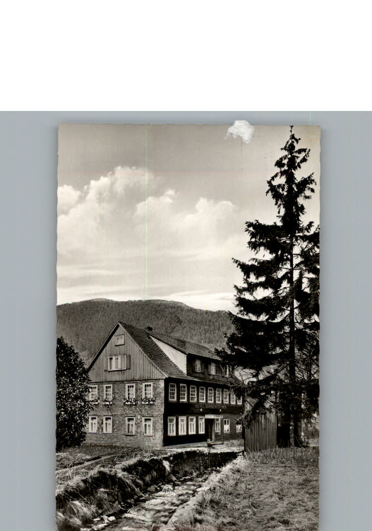 Lautenthal Harz Hotel Tannengrund