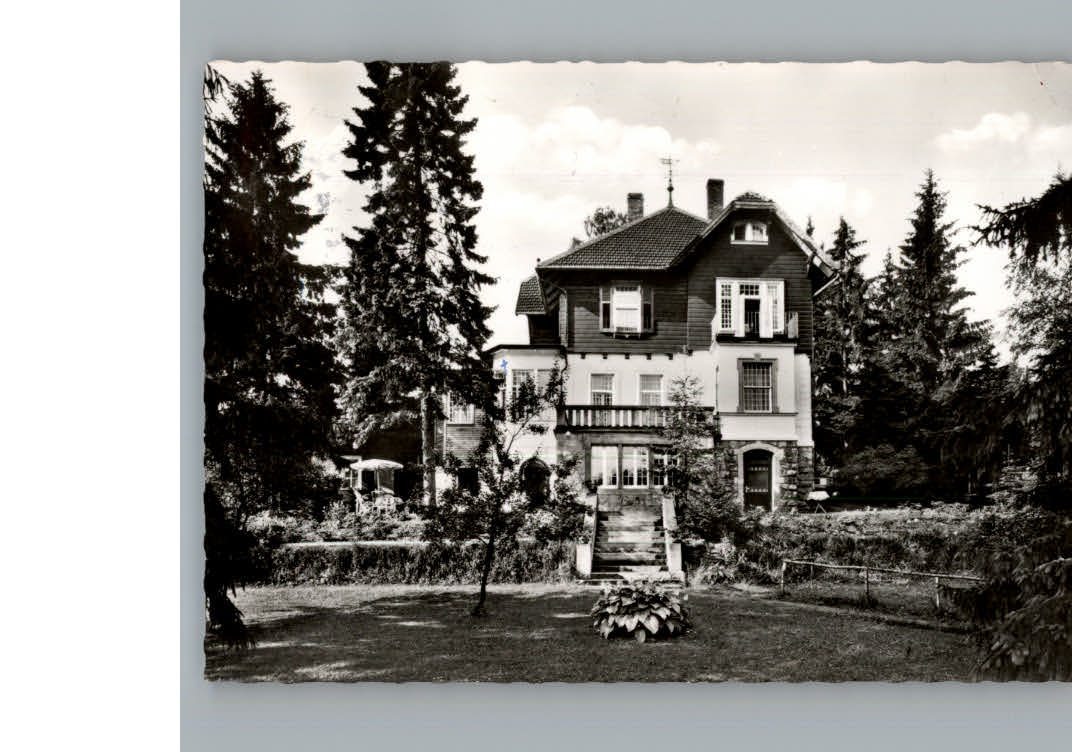 Bad Sachsa Harz Pension Haus Waldfrieden