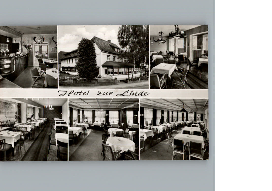 Neuhaus Solling Hotel zur Linde