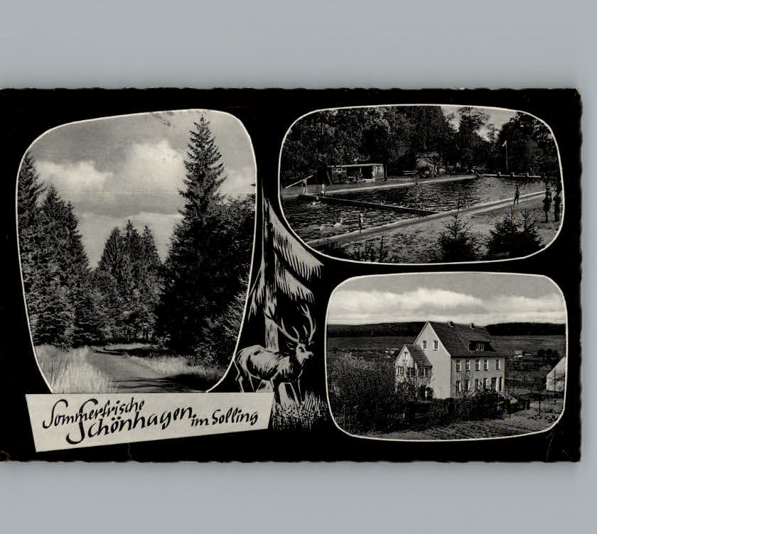 Schoenhagen Solling Pension Remhof