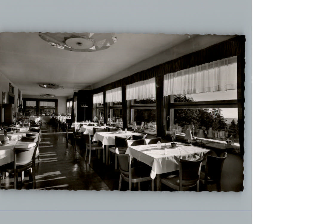 Walkenried Berghotel Foeberhai