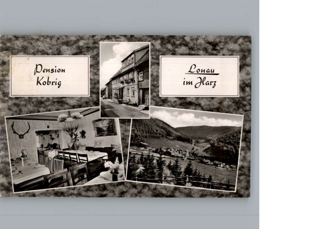 Lonau Pension Kobrig