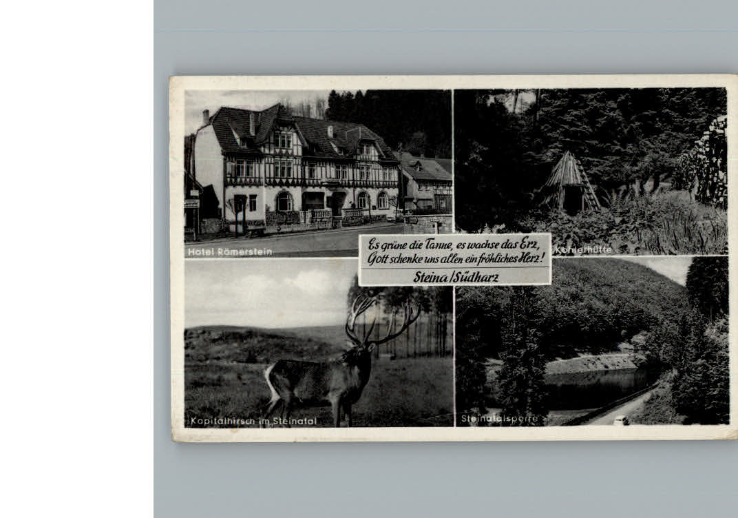 Steina Suedharz Hotel Roemerstein