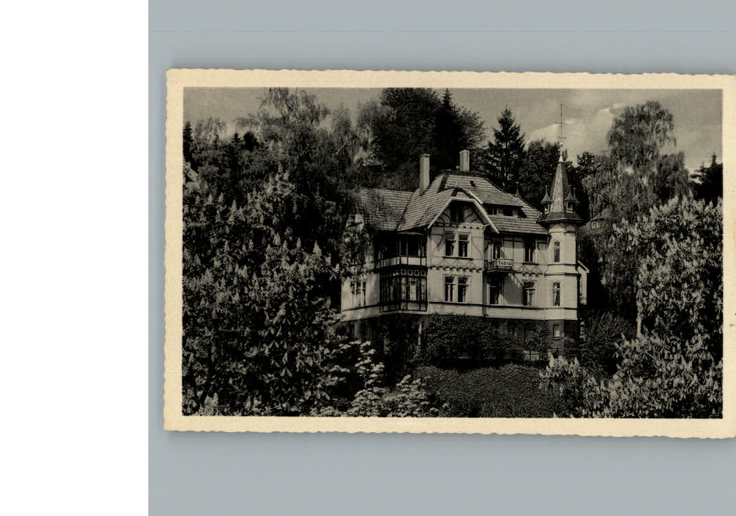 Bad Sachsa Harz Haus Tabea