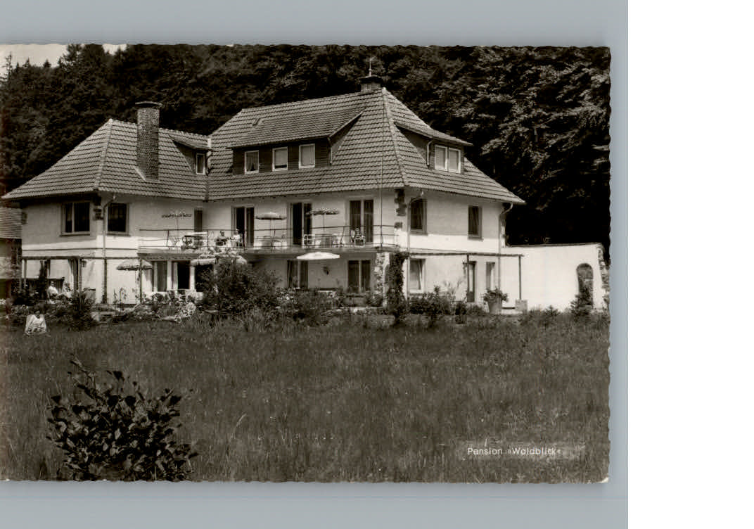 Bad Lauterberg Penion Waldblick