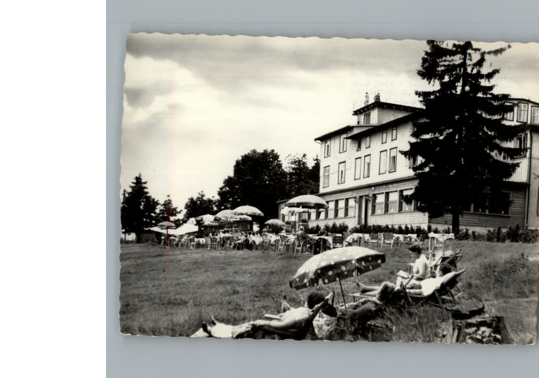 Walkenried Berghotl Stoeberhai