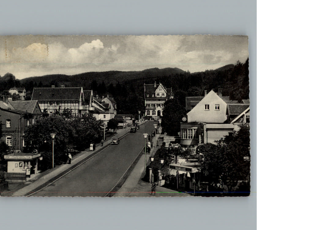 Bad Sachsa Harz Blick auf Hotel Schuetzenhaus