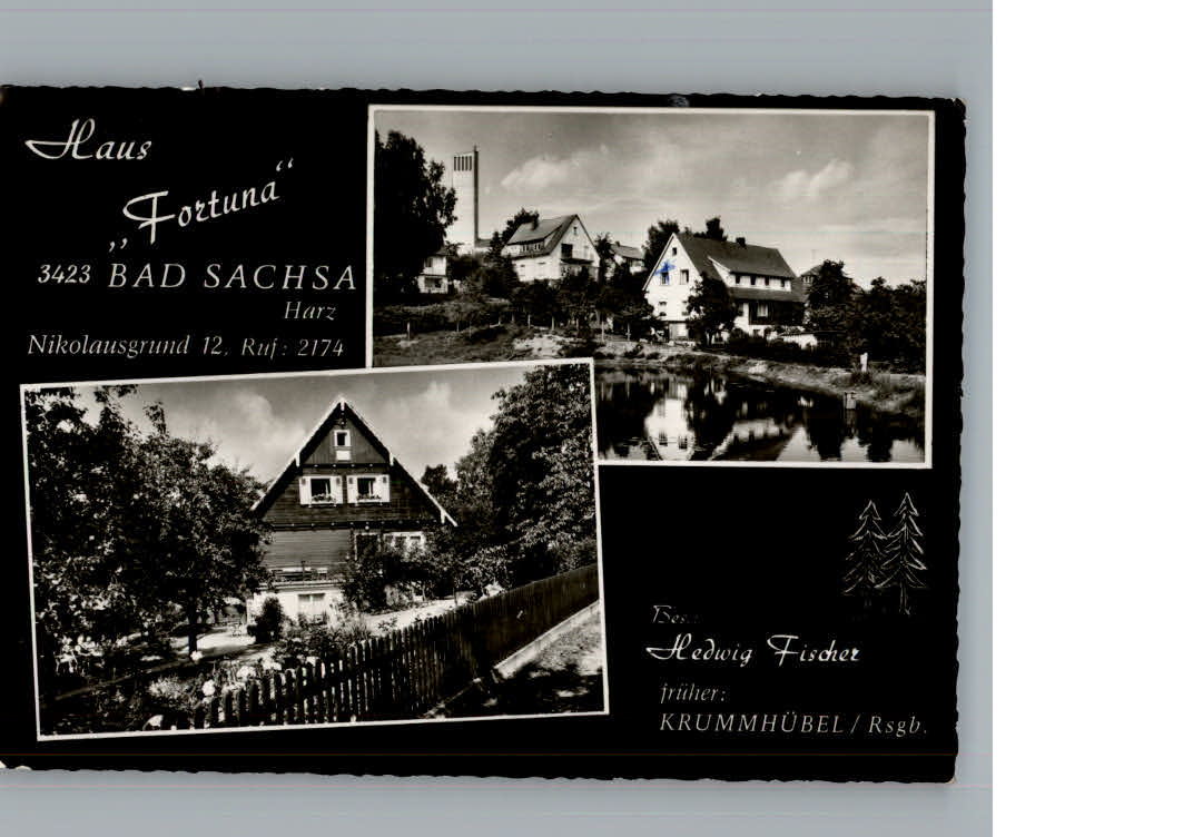 Bad Sachsa Harz Haus Fortuna