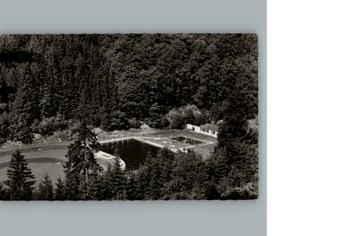 Zorge Waldschwimmbad