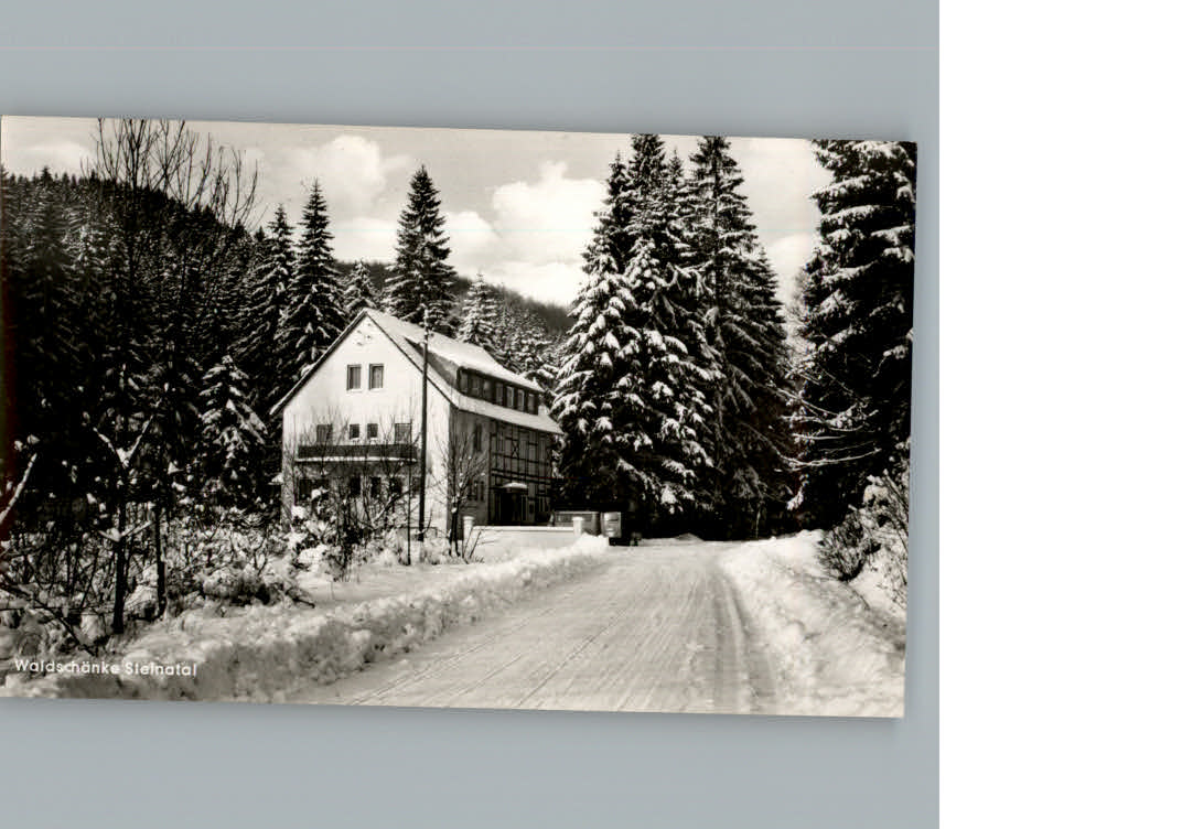 Bad Sachsa Harz Winterkarte Waldschaenke Steinatal
