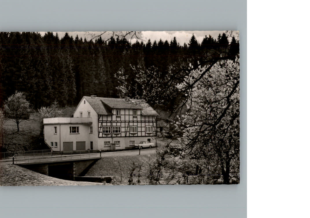 Fohlenplacken Pension Duwel