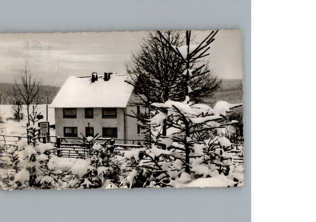 Neuhaus Solling Winter-Karte Pension Zur Tanne