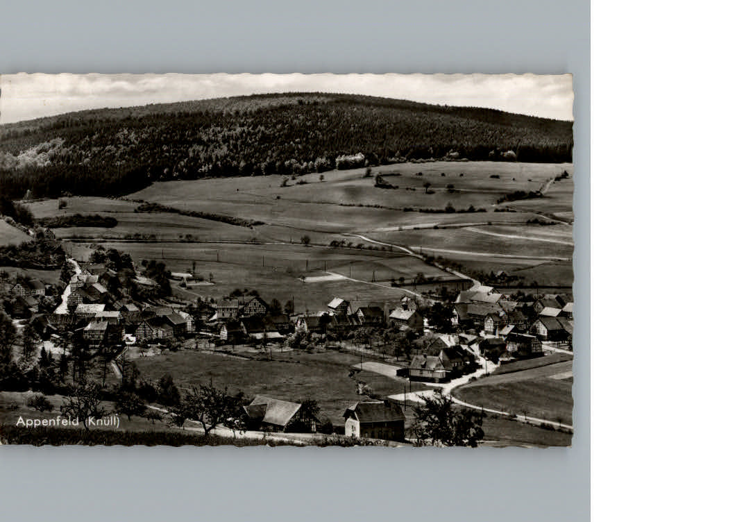 Appenfeld