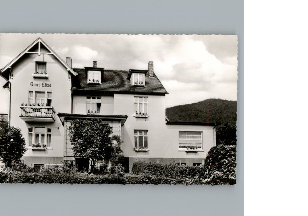 Bad  Wildungen Haus Elise