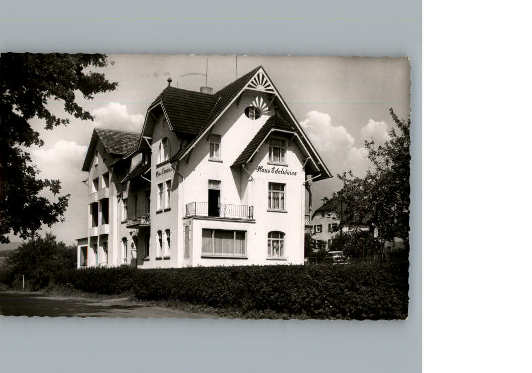 Bad  Wildungen Haus Edelweiss