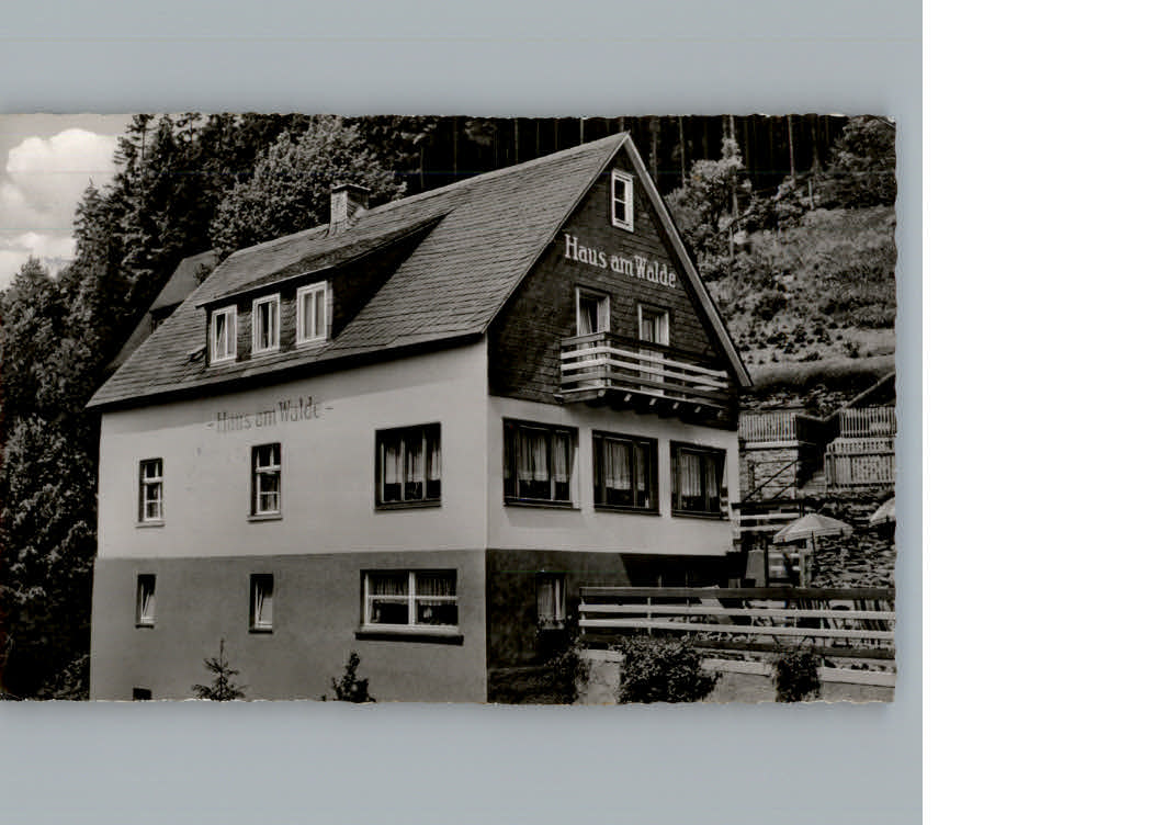 Willingen Sauerland Haus am Walde