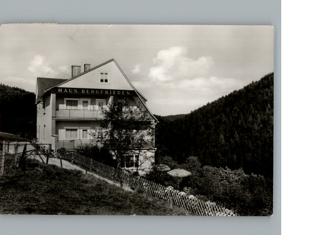 Willingen Sauerland Haus Bergfrieden