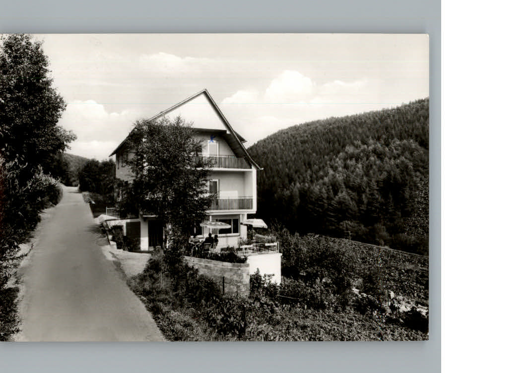 Willingen Sauerland Haus Waldfrieden