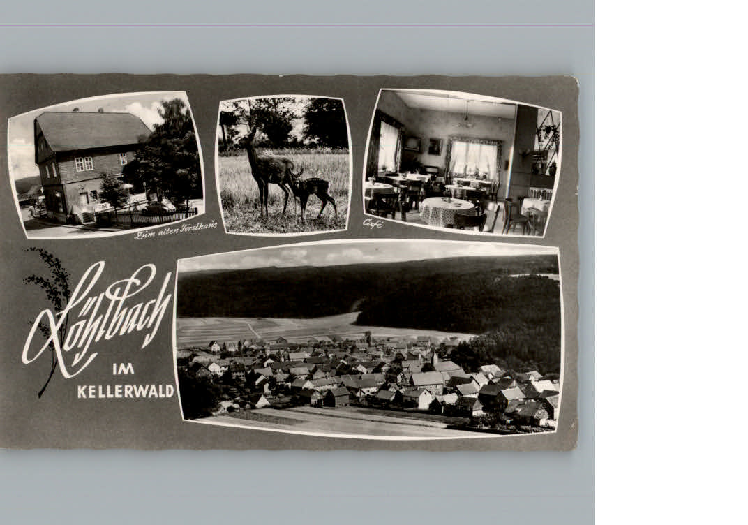 Frankenberg Eder Fliegeraufnahme Cafe zum alten Forsthaus