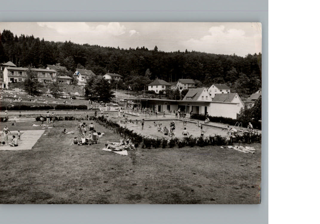 Holzhausen Huenstein Haus Tannenwinkel Schwimmbad
